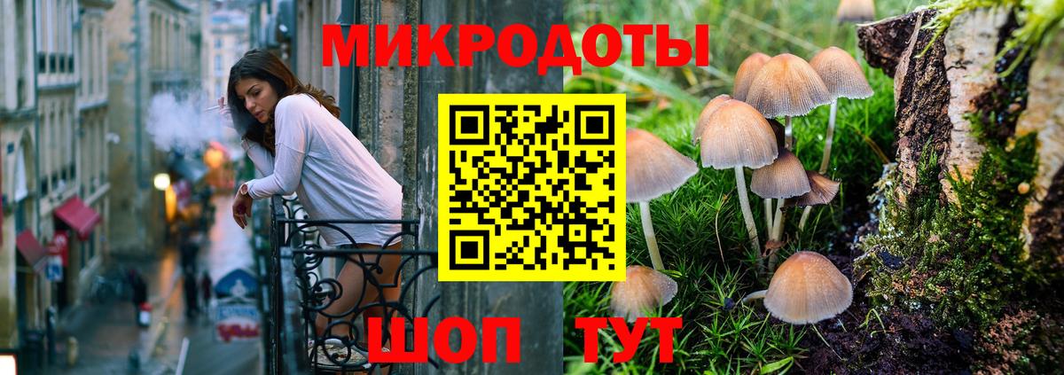 Псилоцибиновые грибы MAGIC MUSHROOMS Советский
